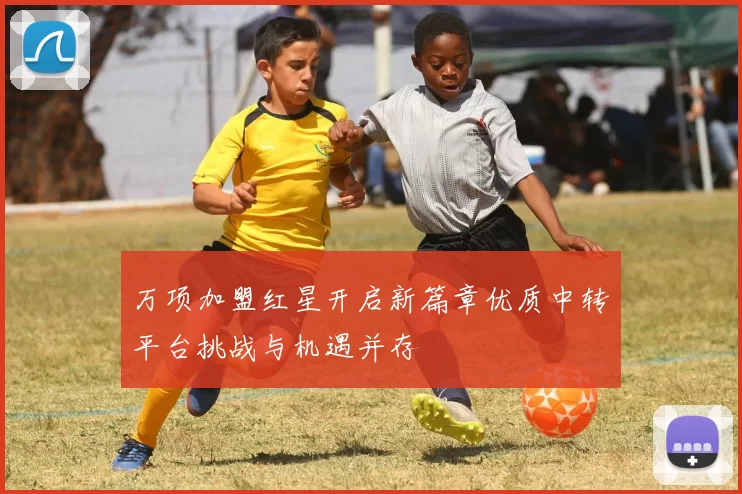 万项加盟红星开启新篇章优质中转平台挑战与机遇并存